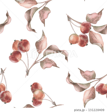 Hand painted watercolor seamless pattern with crabapple branches, small red fruits and dried leaves. Vintage botanical design in soft autumn tones for Thanksgiving stationery, fall home decor. Hand painted watercolor seamless pattern with crabapple branches, small red fruits and dried leaves. Vintage botanical design in soft autumn tones for Thanksgiving stationery, fall home decor. 131228409