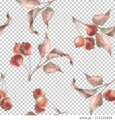 Hand painted watercolor seamless pattern with crabapple branches, small red fruits and dried leaves. Vintage botanical design in soft autumn tones for Thanksgiving stationery, fall home decor. Hand painted watercolor seamless pattern with crabapple branches, small red fruits and dried leaves. Vintage botanical design in soft autumn tones for Thanksgiving stationery, fall home decor. 131228409