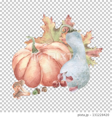 Rustic Pumpkin Watercolor illustration isolated. Round and whimsical pumpkins with wild harvest in maple foliage hand painted. Autumn drawing vintage for organic product labels, farmers packaging. 131228420