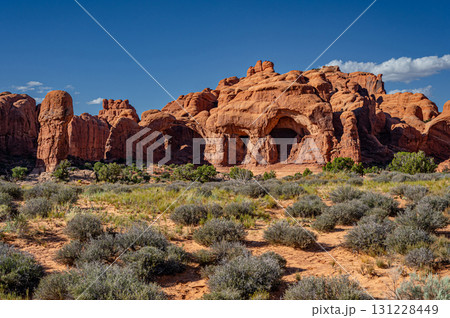 Double Arch sandstone rock formation in Arches National Park, Utah, USA 131228449