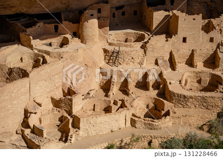 Cliff Palace at Mesa Verde National Park in Colorado, USA 131228466