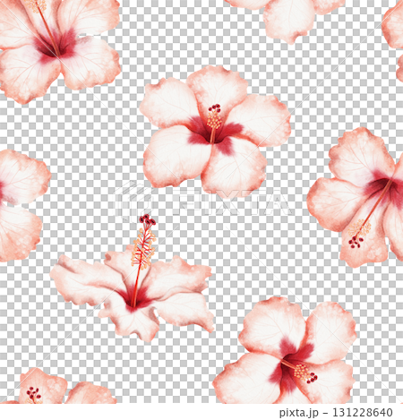 Simple watercolor hibiscus flowers seamless pattern on white. Bright red summer blooming repeat background for tropical wedding designs in Hawaiian style. Hand drawn floral backdrop Simple watercolor hibiscus flowers seamless pattern on white. Bright red summer blooming repeat background for tropical wedding designs in Hawaiian style. Hand drawn floral backdrop 131228640