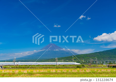 【静岡県】稲刈り中の田んぼと新幹線そして富士山 【静岡県】稲刈り中の田んぼと新幹線そして富士山 131228674