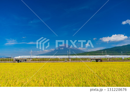 【静岡県】稲刈り中の田んぼと新幹線そして富士山 【静岡県】稲刈り中の田んぼと新幹線そして富士山 131228676
