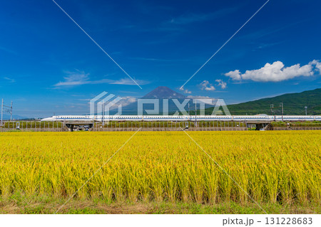 【静岡県】稲刈り中の田んぼと新幹線そして富士山 131228683