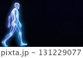 歩行する全身の人体模型 131229077