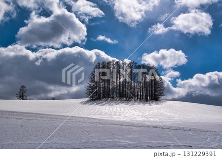 雪原のマイルドセブンの丘 131229391