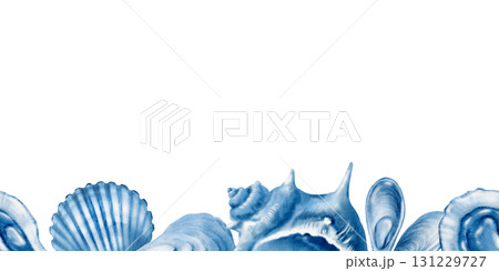 Marine seashells in seamless border:twisted spiky seashell,oyster,mussel,ribbed cemicircular seashell blue monochrome colors.Minimalism graphic in hand-drawn watecolor illustration isolated on white 131229727