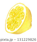 Half a lemon, watercolor illustration of a tropical fruit. Hand drawn isolated on a white background. Suitable for the design of menus, packaging, cosmetics, cards. 131229826