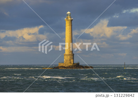 Phare de la Hague near Cap de la Hague, Normandy, France 131229842