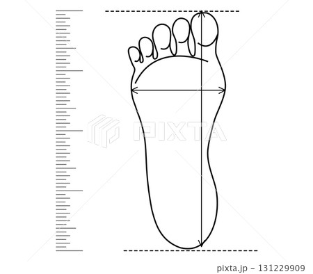 Foot size, shoe length measure. Footwear check. Footstep length and width on ruler. Line simple drawing. Foot size, shoe length measure. Footwear check. Footstep length and width on ruler. Line simple drawing. 131229909
