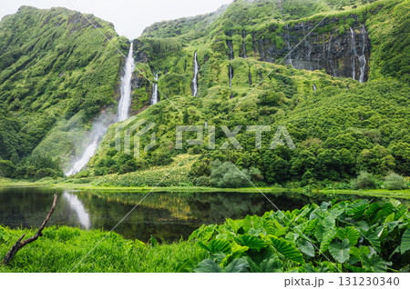 Lush green mountain with multiple waterfalls. Flores, Azores Lush green mountain with multiple waterfalls. Flores, Azores 131230340