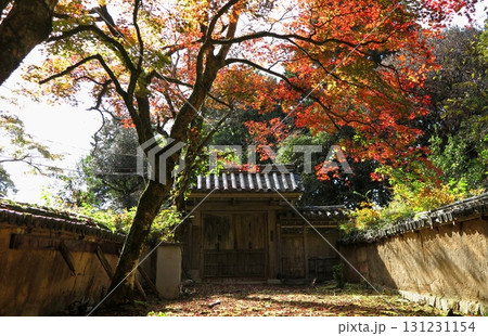 紅葉の季節に、落葉の散り敷いた廃寺の門前のイメージ 131231154
