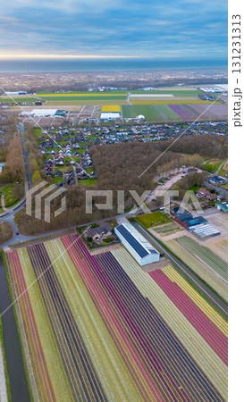 Aerial view of rural landscape with greenhouses, crop fields, canal, pasture with cows, wooded area, and residential neighborhood under a cloudy sky. Aerial view of rural landscape with greenhouses, crop fields, canal, pasture with cows, wooded area, and residential neighborhood under a cloudy sky. 131231313