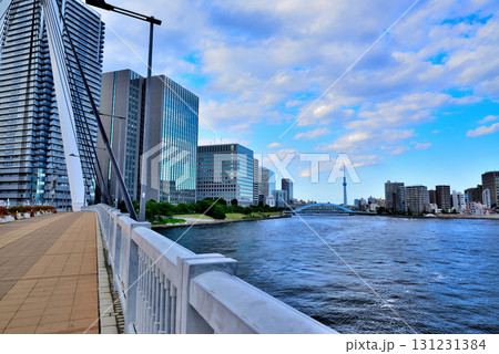東京 隅田川 中央大橋からの永代橋とスカイツリー 東京 隅田川 中央大橋からの永代橋とスカイツリー 131231384
