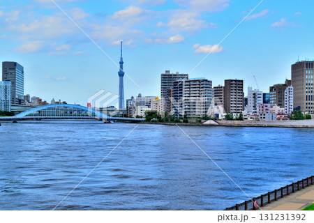 東京 隅田川 中央大橋からの永代橋とスカイツリー 131231392