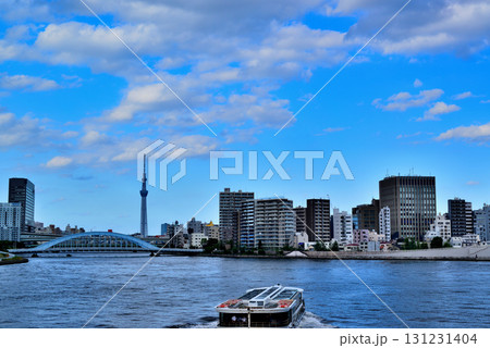 東京 隅田川 中央大橋からの永代橋とスカイツリー 131231404