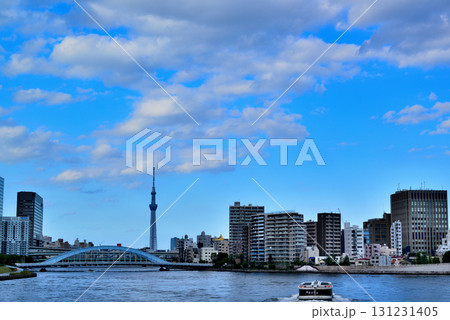 東京 隅田川 中央大橋からの永代橋とスカイツリー 131231405