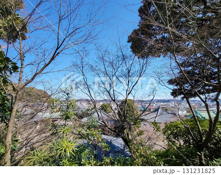 A rooftop view of Kamakura, Japan shows the coastal city with clear skies, blue ocean, and mountains in the distance, captured on 14 March 2024. 131231825