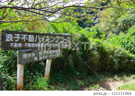 披露山公園から逗子海岸方面へ向かう浪子不動ハイキングコース(神奈川県逗子市新宿5丁目) 披露山公園から逗子海岸方面へ向かう浪子不動ハイキングコース(神奈川県逗子市新宿5丁目) 131231968
