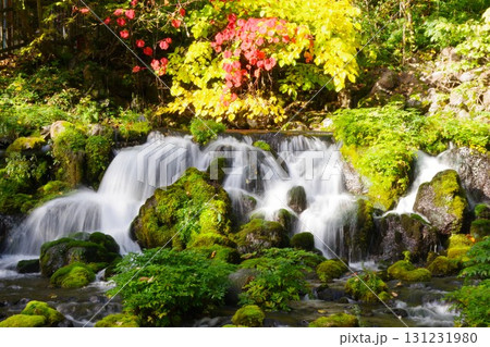 北海道京極町　ふきだし公園の湧水 131231980