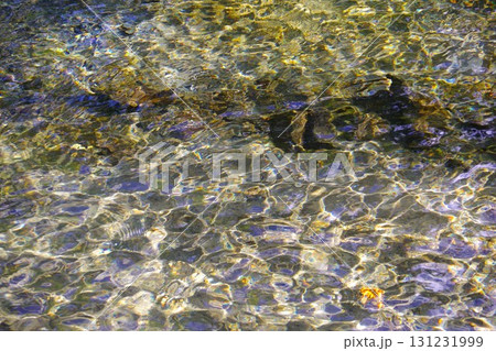 北海道京極町　ふきだし公園の湧水 131231999