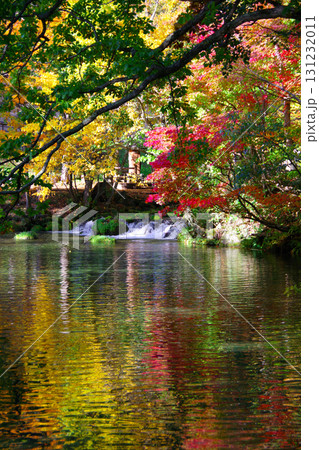 北海道京極町 ふきだし公園の湧水と紅葉 北海道京極町 ふきだし公園の湧水と紅葉 131232011
