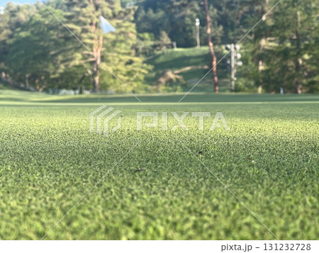ゴルフ場のグリーン 131232728