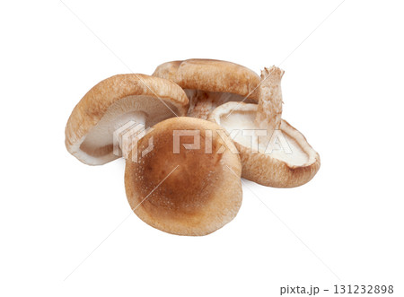 秋の味覚、椎茸【白背景・切り抜き】 131232898