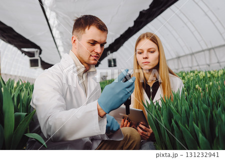 Male agricultural scientist in lab coat and blue gloves is analyzing plant samples with female colleague in greenhouse surrounded by lush green foliage, showcasing teamwork in horticulture research 131232941