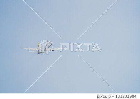 牧之原市の富士山静岡空港から飛び立つ飛行機(静岡県) 131232984