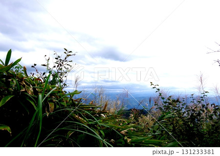 山の上から見た景色 131233381