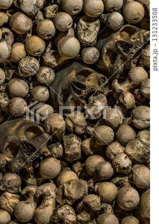 spooky pattern human skull and bones vertical set background 131233508
