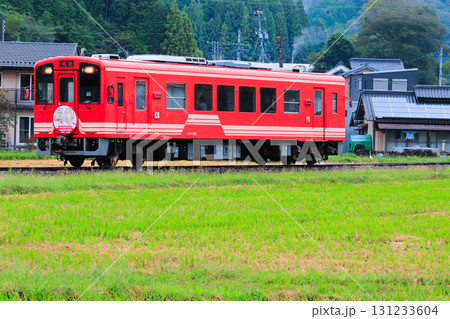降りしきる雨が降る恵那の里山。 131233604