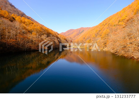 鮮やかな秋の紅葉 131233777