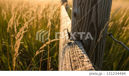 Weathered wooden fence post in golden hour meadow Weathered wooden fence post in golden hour meadow 131234494