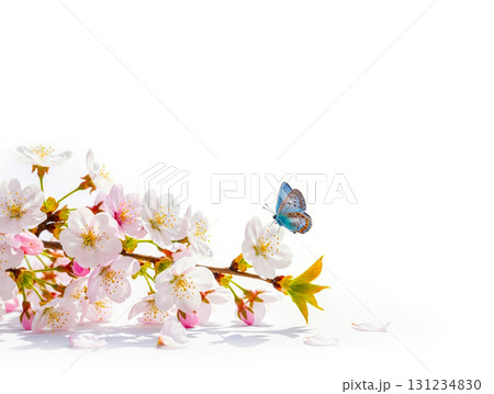 春の花と小さな昆虫たち	 131234830