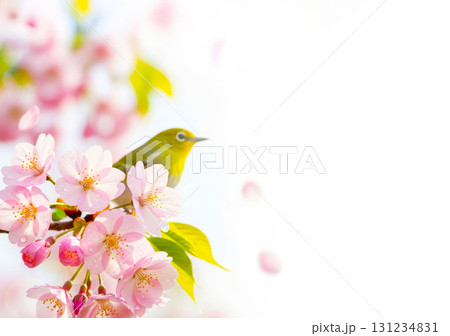 春の花と小さな昆虫たち	 131234831