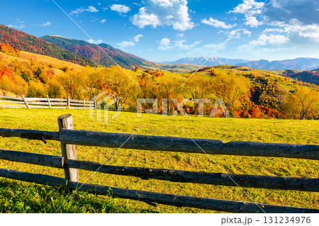 mountainous rural landscape of ukraine in autumn. field behind the wooden fence. sunny afternoon. transcarpathia scenery in fall season. forest on the hill. ridge in the distance 131234976