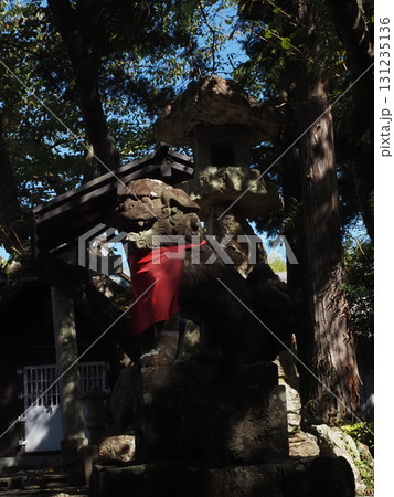 木漏れ日を浴びた狛犬&燈籠(山の上の瀧皇神社) 木漏れ日を浴びた狛犬&燈籠(山の上の瀧皇神社) 131235136