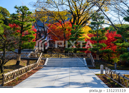 秋の智積院 秋の智積院 131235319