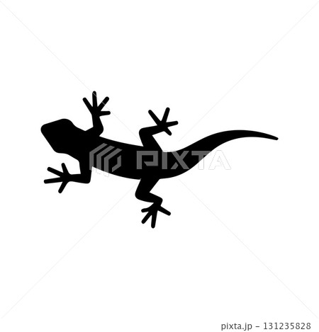 Gecko wrap design perfect for eco-friendly hotels and tropical living projects 131235828