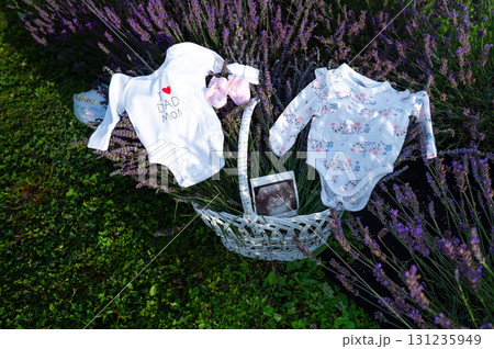 Twin baby announcement amongst lavender. Adorable onesies and ultrasound photo. Twin baby announcement amongst lavender. Adorable onesies and ultrasound photo. 131235949