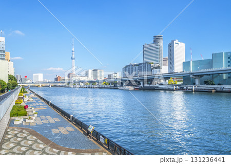 東京・隅田川の都市景観　スカイツリーと隅田川テラスの遊歩道の風景【東京都・台東区－墨田区】 131236441