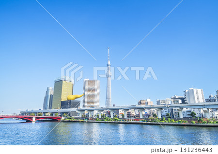 東京の都市風景　隅田川テラスから見るスカイツリー【東京都・台東区－墨田区】 131236443