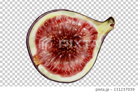 Fig watercolor. Fig tree fruit illustration on a white background. Food clip art. Ideal for cosmetics logos and culinary recipes. Fig watercolor. Fig tree fruit illustration on a white background. Food clip art. Ideal for cosmetics logos and culinary recipes. 131237039