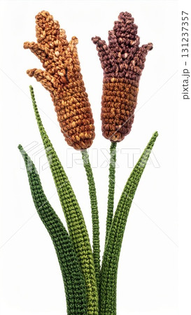 Close Up Brown and Purple Foxtail Millet Stalks with Green Leaves on White Background Close Up Brown and Purple Foxtail Millet Stalks with Green Leaves on White Background 131237357