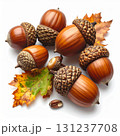 Pile of Brown Acorns with Caps and Autumn Leaves on White Background 131237708