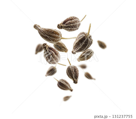 Anise seeds levitate on a white background Anise seeds levitate on a white background 131237755