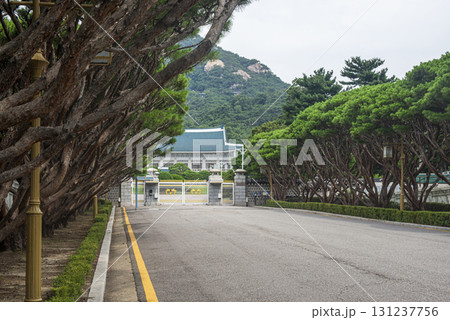 韓国青瓦台に続く道 131237756